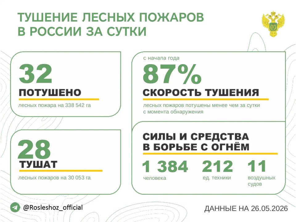 За прошедшие сутки в 15 регионах России потушили 32 лесных пожара