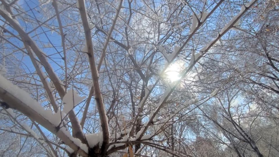 Дождь и мокрый снег пройдут в Хабаровском крае