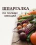 Дачный сезон с «Губернией»