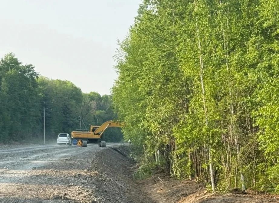 Дорога к Петропавловке: обновление продолжается