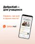 Хабаровском крае есть свой цифровой помощник — ДоброХаб