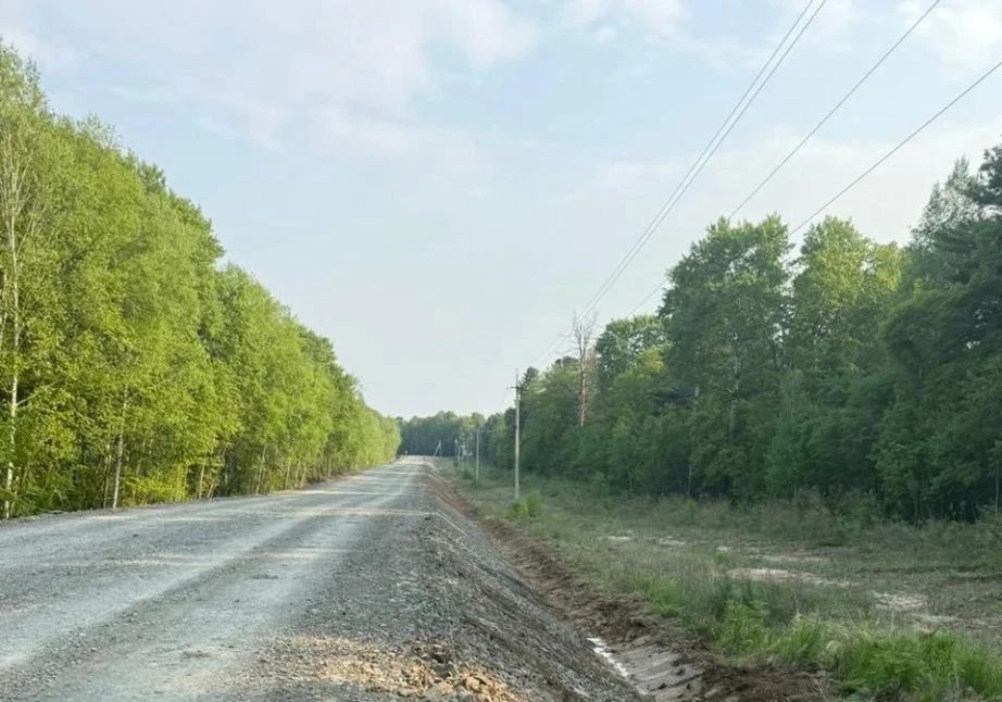 Дорога к Петропавловке: обновление продолжается Дорога к Петропавловке: обновление продолжается