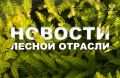 AK&M: Рослесхоз: обновлены правила заготовки пищевых лесных ресурсов и сбора лекарственных растений