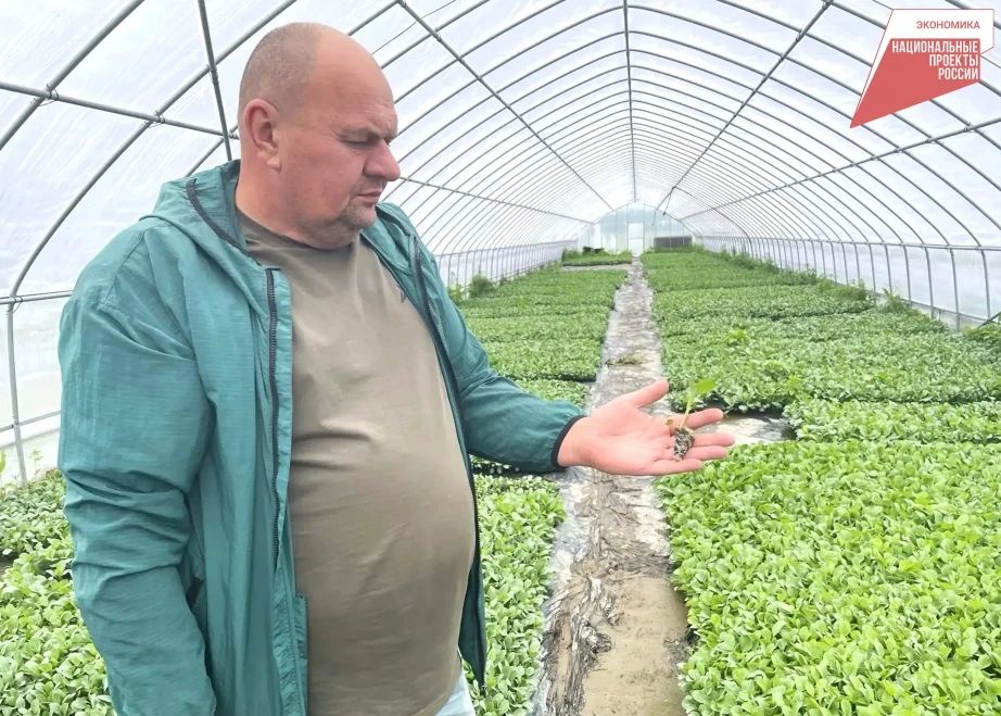 Господдержку получил сельхозкооператив из Хабаровского района на развитие производства