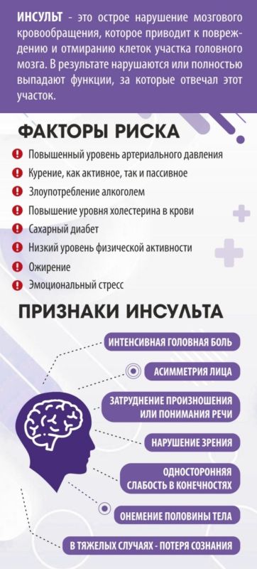 Инсульт: почему счёт идёт на часы и как не потерять драгоценное время Инсульт: почему счёт идёт на часы и как не потерять драгоценное время