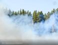 � ������������ ������� ������������� ��� ������ ������, ������� ����������� 18-29 ��� �� ���������� �������