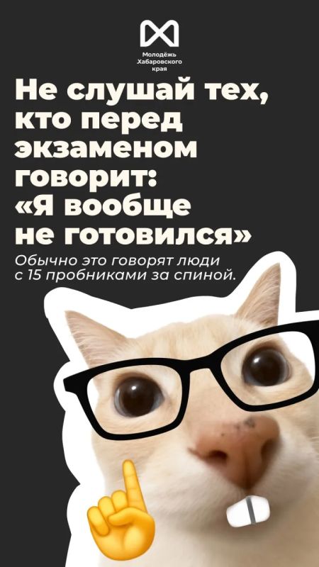 Сейчас у выпускников примерно два режима: «я всё сдам» и «почему я вообще открыл этот вариант?» Сейчас у выпускников примерно два режима: «я всё сдам» и «почему я вообще открыл этот вариант?»