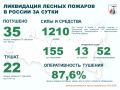 За прошедшие сутки в России потушено 35 лесных пожаров в 15 регионах