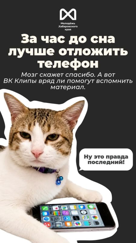 Сейчас у выпускников примерно два режима: «я всё сдам» и «почему я вообще открыл этот вариант?» Сейчас у выпускников примерно два режима: «я всё сдам» и «почему я вообще открыл этот вариант?»