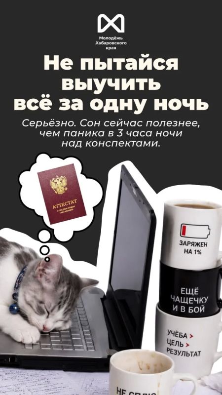 Сейчас у выпускников примерно два режима: «я всё сдам» и «почему я вообще открыл этот вариант?» Сейчас у выпускников примерно два режима: «я всё сдам» и «почему я вообще открыл этот вариант?»