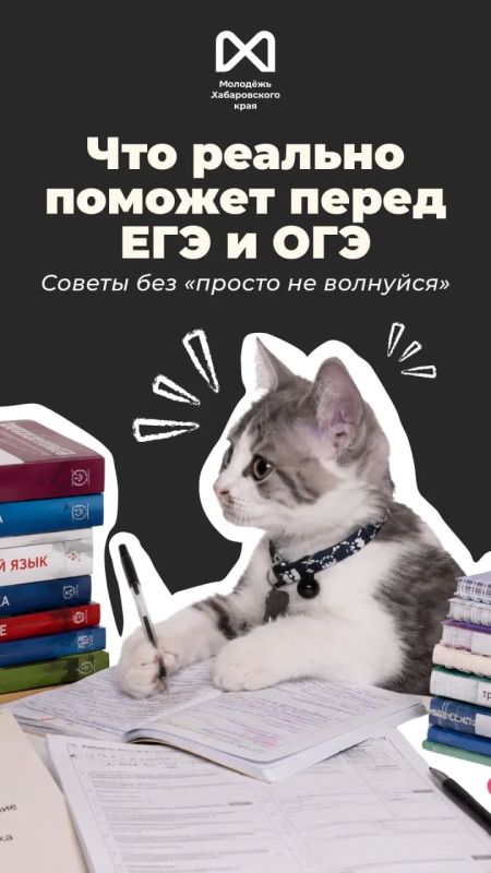 Сейчас у выпускников примерно два режима: «я всё сдам» и «почему я вообще открыл этот вариант?»