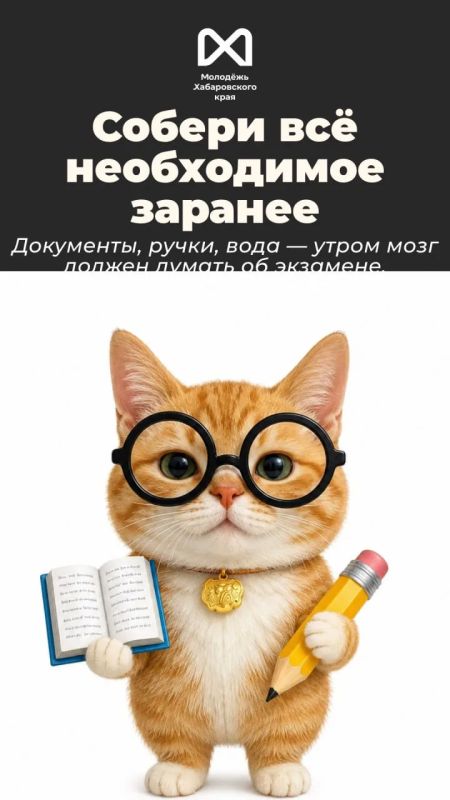 Сейчас у выпускников примерно два режима: «я всё сдам» и «почему я вообще открыл этот вариант?» Сейчас у выпускников примерно два режима: «я всё сдам» и «почему я вообще открыл этот вариант?»