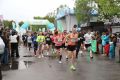 Около 2 тысяч жителей края вышли на старт «Зеленого Марафона»