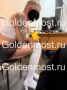 В Артеме задержан педофил-трансвестит