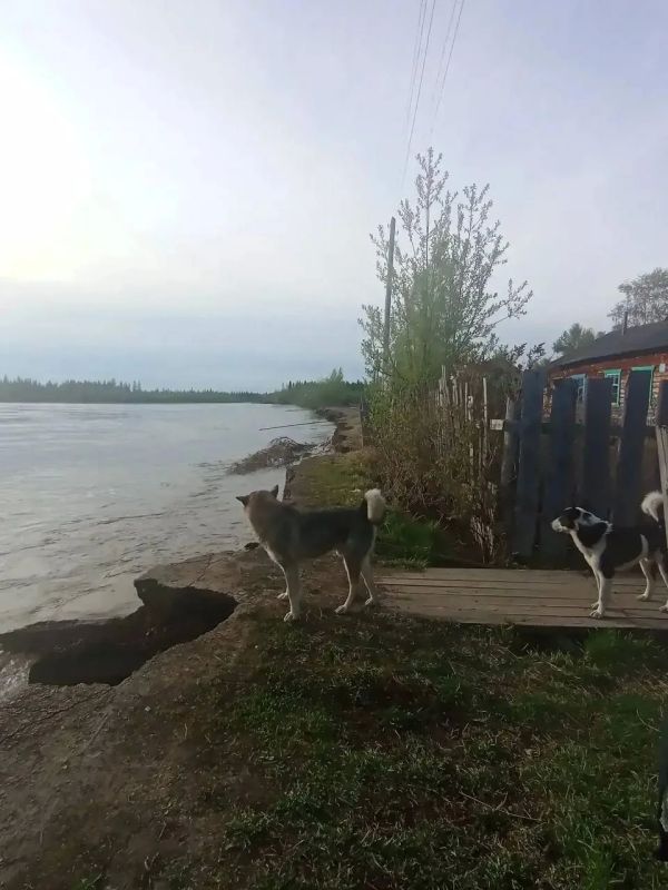 Паводковая обстановка в Аяно-Майском районе стабилизируется Паводковая обстановка в Аяно-Майском районе стабилизируется