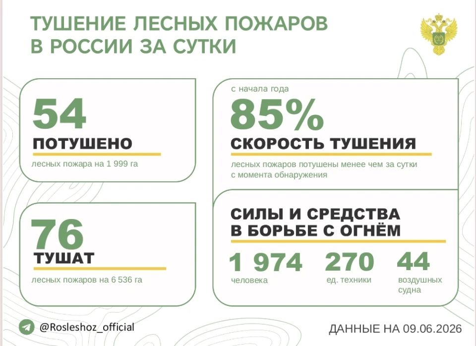 За прошедшие сутки в 16 регионах России потушили 54 лесных пожара
