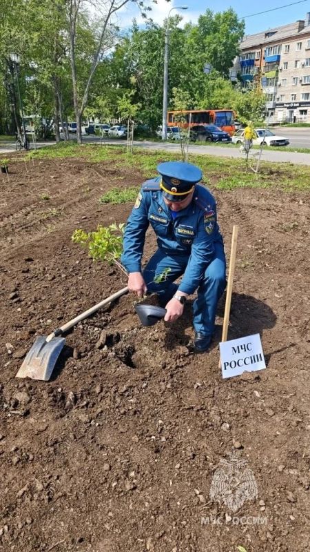 Сотрудники МЧС России внесли свой вклад в озеленение Города юности Сотрудники МЧС России внесли свой вклад в озеленение Города юности