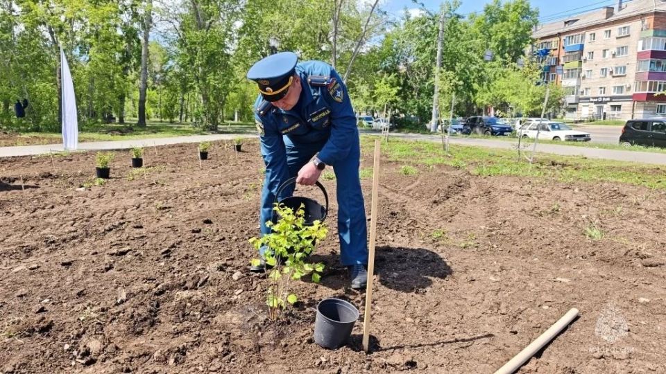 Сотрудники МЧС России внесли свой вклад в озеленение Города юности Сотрудники МЧС России внесли свой вклад в озеленение Города юности