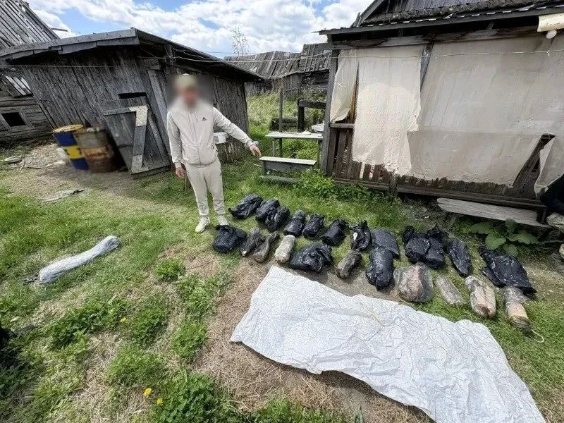 Осетров и черную икру «нашел» комсомольчанин на берегу Амура