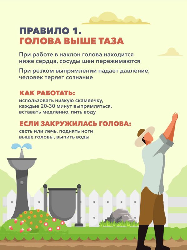 5 правил безопасной работы на даче 5 правил безопасной работы на даче