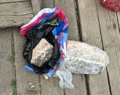 В Николаевском и Нанайском районах полицейские пресекли незаконную добычу и хранение ценных видов рыб В Николаевском и Нанайском районах полицейские пресекли незаконную добычу и хранение ценных видов рыб