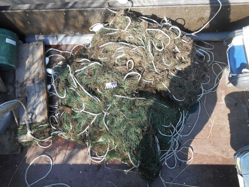 В Николаевском и Нанайском районах полицейские пресекли незаконную добычу и хранение ценных видов рыб В Николаевском и Нанайском районах полицейские пресекли незаконную добычу и хранение ценных видов рыб