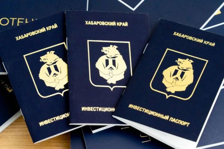 Итоги ПМЭФ для Хабаровского края