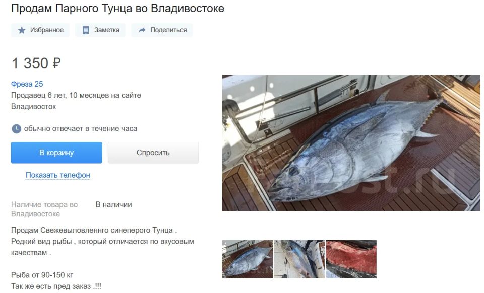 Приморские рыбаки начали продавать мясо тунца, выловленного во время тунцовой лихорадки