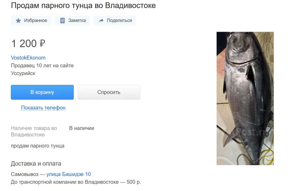 Приморские рыбаки начали продавать мясо тунца, выловленного во время тунцовой лихорадки Приморские рыбаки начали продавать мясо тунца, выловленного во время тунцовой лихорадки