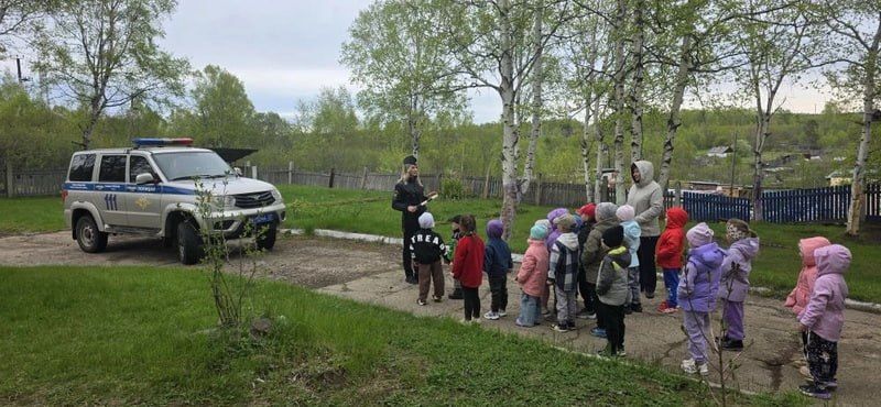 Сотрудники Госавтоинспекции Ванинского района провели мероприятие для воспитанников детского сада Сотрудники Госавтоинспекции Ванинского района провели мероприятие для воспитанников детского сада