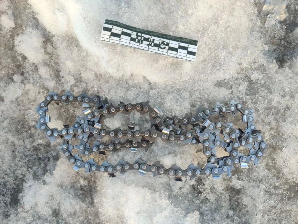 В Хабаровском районе в суд направлено уголовное дело о незаконной рубке лесных насаждений с ущербом свыше 550 тысяч рублей В Хабаровском районе в суд направлено уголовное дело о незаконной рубке лесных насаждений с ущербом свыше 550 тысяч рублей