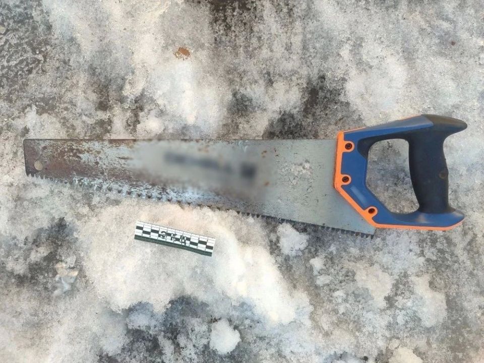 В Хабаровском районе в суд направлено уголовное дело о незаконной рубке лесных насаждений с ущербом свыше 550 тысяч рублей В Хабаровском районе в суд направлено уголовное дело о незаконной рубке лесных насаждений с ущербом свыше 550 тысяч рублей
