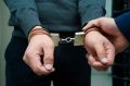 На контрабанде рогов сайгака за границу попался житель Хабаровска
