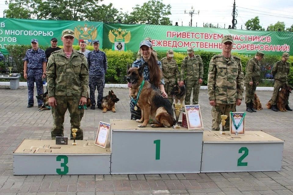 Верные напарники на страже порядка: кинологи Хабаровска продемонстрировали мастерство на межведомственных соревнованиях Верные напарники на страже порядка: кинологи Хабаровска продемонстрировали мастерство на межведомственных соревнованиях