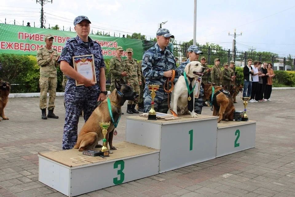 Верные напарники на страже порядка: кинологи Хабаровска продемонстрировали мастерство на межведомственных соревнованиях Верные напарники на страже порядка: кинологи Хабаровска продемонстрировали мастерство на межведомственных соревнованиях