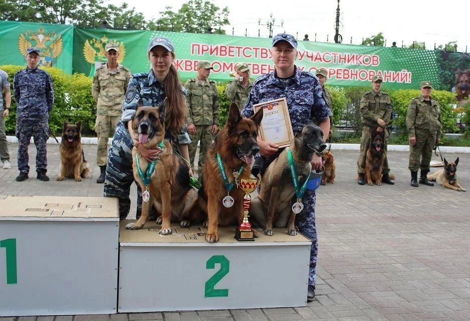 Верные напарники на страже порядка: кинологи Хабаровска продемонстрировали мастерство на межведомственных соревнованиях Верные напарники на страже порядка: кинологи Хабаровска продемонстрировали мастерство на межведомственных соревнованиях