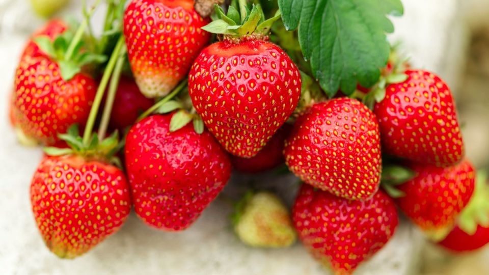 Сезонный шопинг: как сэкономить и наслаждаться вкусом продуктов