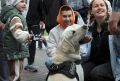 21 июня: День кинологической службы России