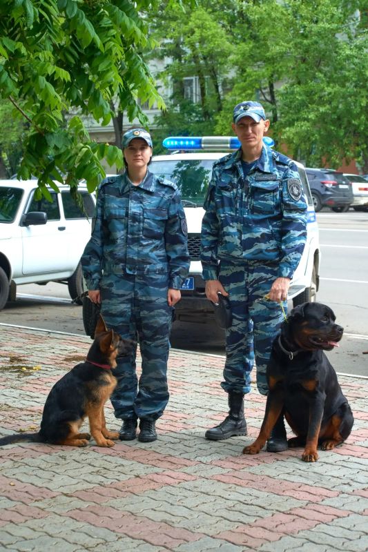 Преемственность поколений в службе комсомольских кинологов: опыт и энергия будущего Преемственность поколений в службе комсомольских кинологов: опыт и энергия будущего