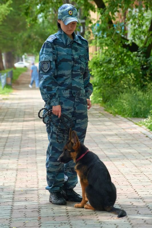 Преемственность поколений в службе комсомольских кинологов: опыт и энергия будущего Преемственность поколений в службе комсомольских кинологов: опыт и энергия будущего