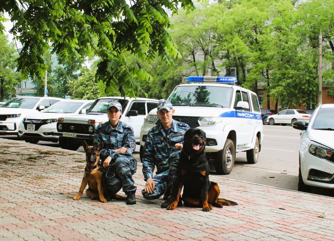 Преемственность поколений в службе комсомольских кинологов: опыт и энергия будущего Преемственность поколений в службе комсомольских кинологов: опыт и энергия будущего