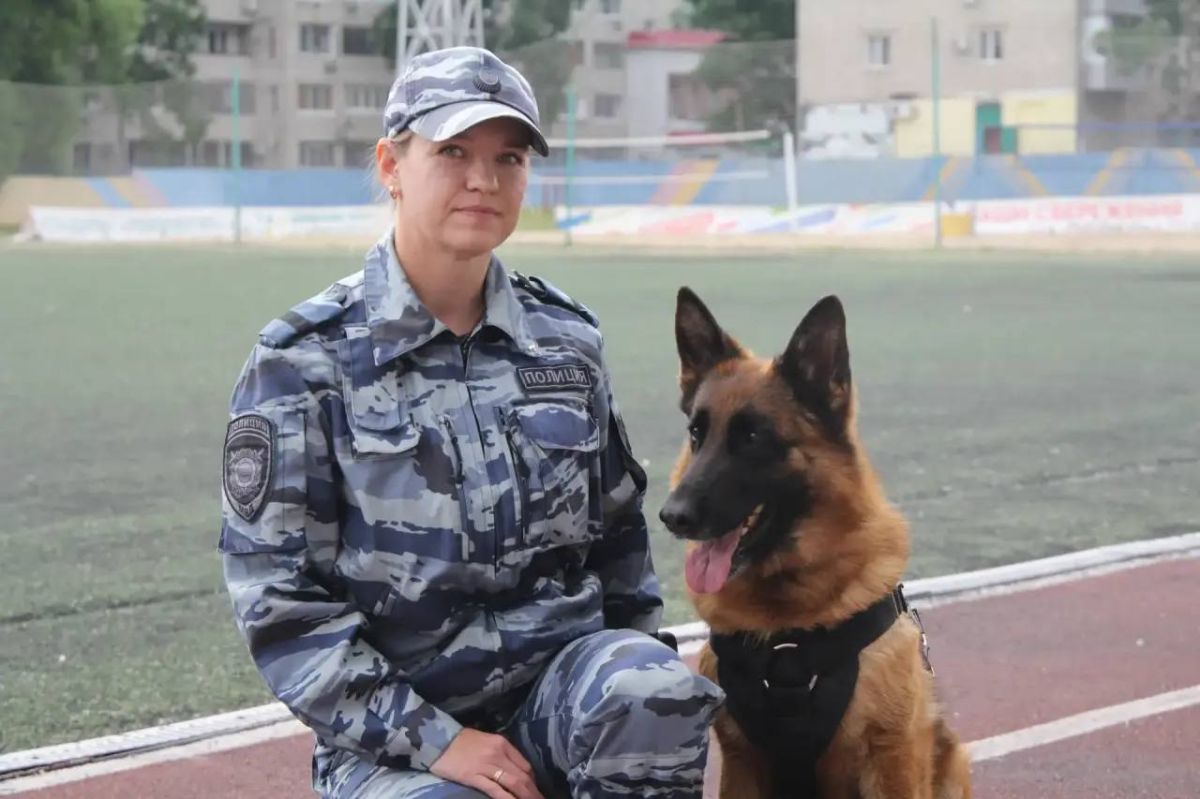 Кинологи транспортной полиции Дальнего Востока стали призерами межведомственных соревнований Кинологи транспортной полиции Дальнего Востока стали призерами межведомственных соревнований