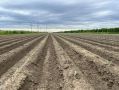 В Хабаровском крае завершается посевная кампания