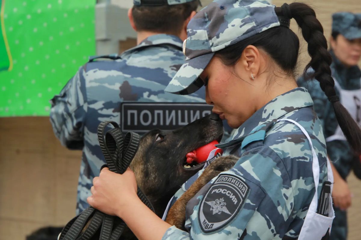 Кинологи транспортной полиции Дальнего Востока стали призерами межведомственных соревнований Кинологи транспортной полиции Дальнего Востока стали призерами межведомственных соревнований