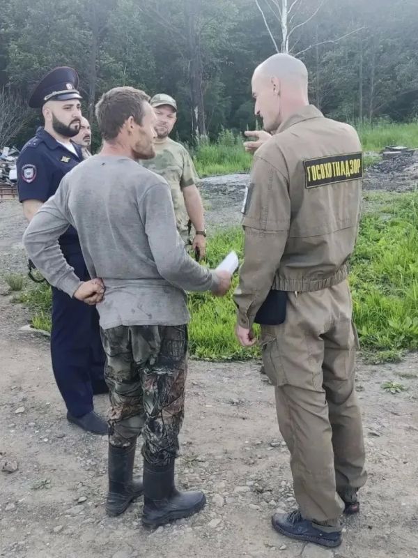 Тигра засекли в районе Бычихи Тигра засекли в районе Бычихи