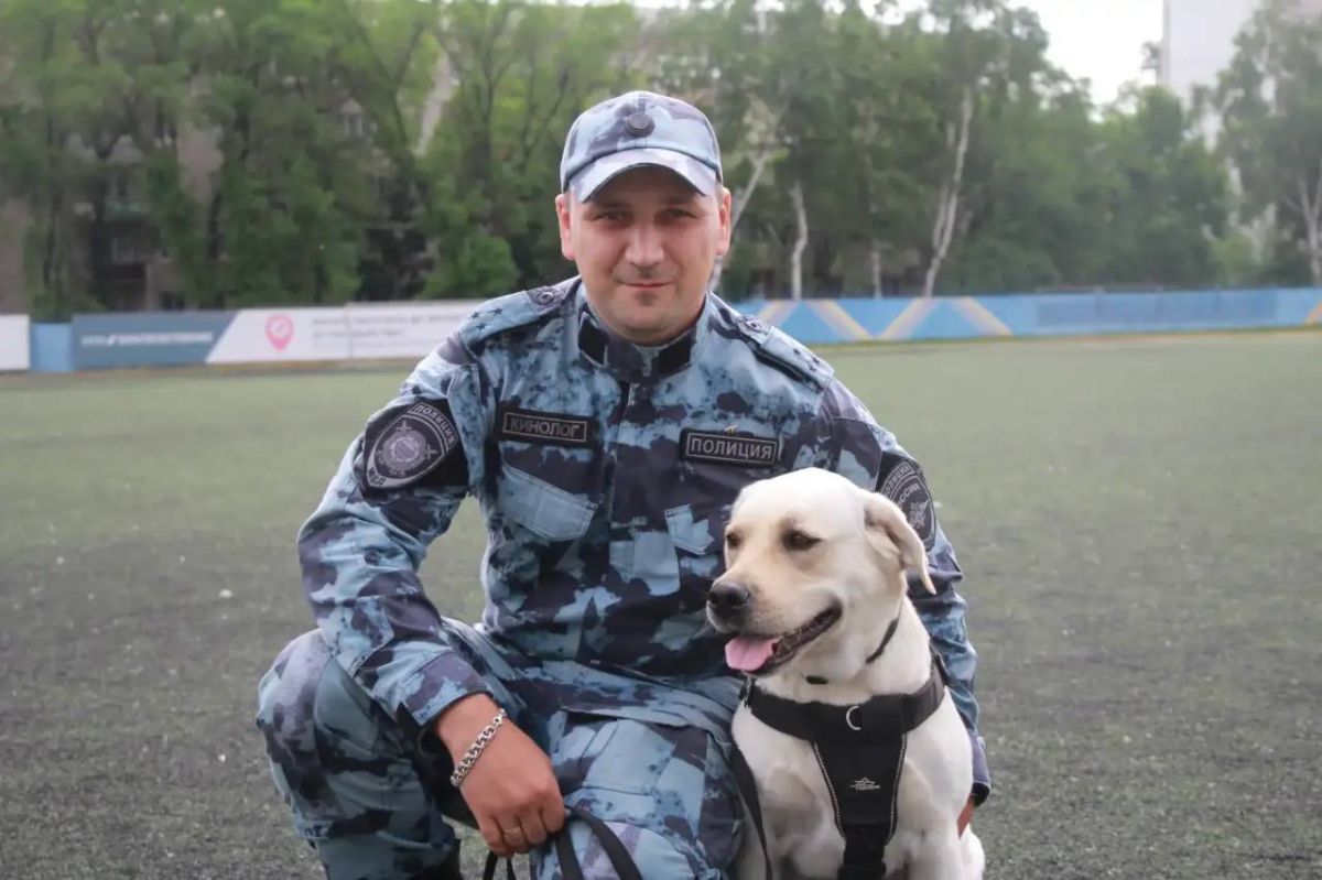 Кинологи транспортной полиции Дальнего Востока стали призерами межведомственных соревнований Кинологи транспортной полиции Дальнего Востока стали призерами межведомственных соревнований