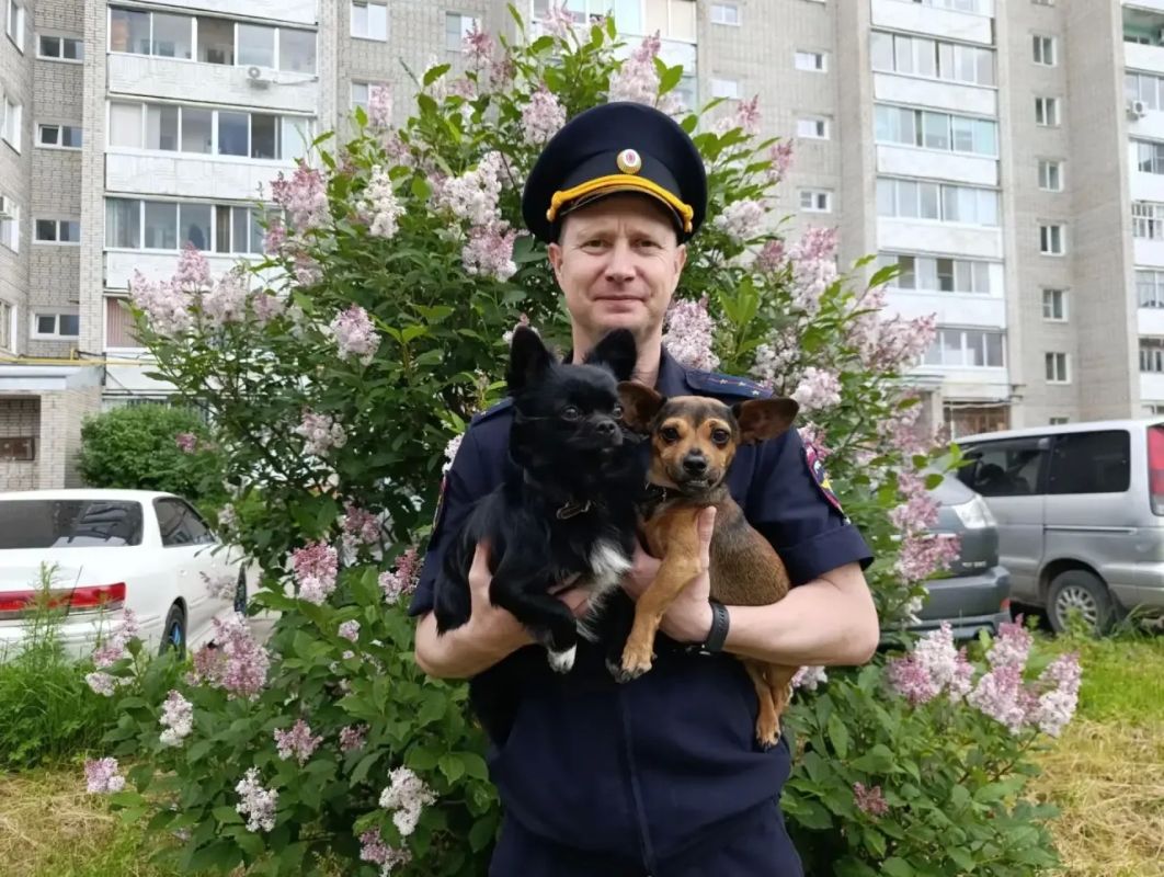 2 июля - Международный день собак 2 июля - Международный день собак