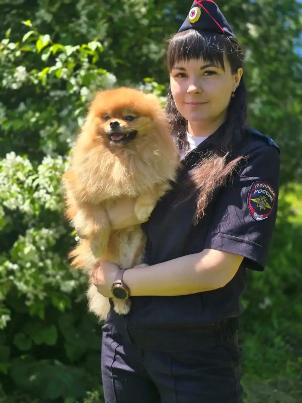2 июля - Международный день собак 2 июля - Международный день собак