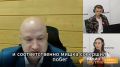"Такого во Владивостоке еще не было": эксперт о медвежонке, переплывшем залив