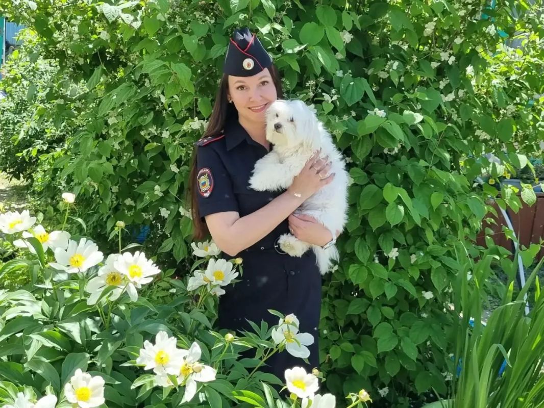 2 июля - Международный день собак 2 июля - Международный день собак